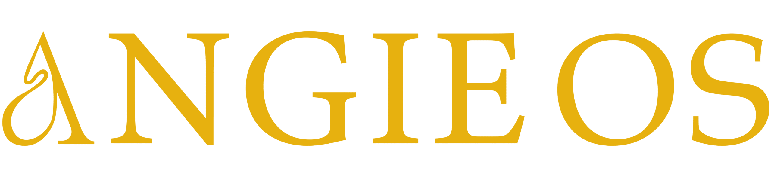Logo de AngieOs.